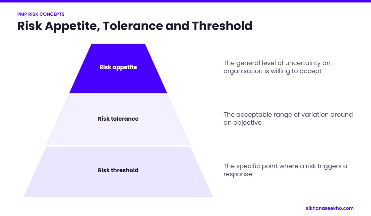 Pyramid showing risk appetite at the top, risk tolerance in the middle and risk threshold at the base, with definitions